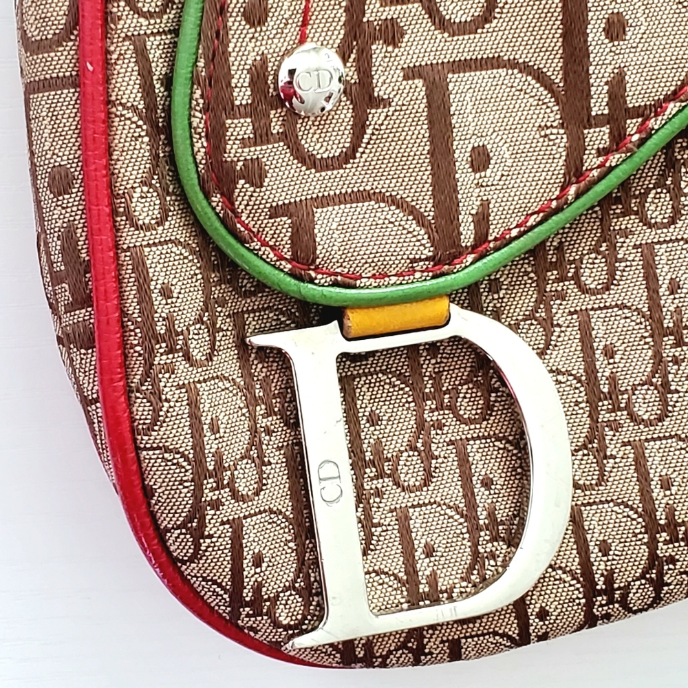 DIOR RastaMania Double Saddle Bag - Picture 2 of 16